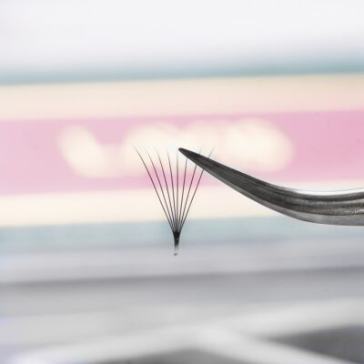 lavislash 8d promade loose fans lash extensions