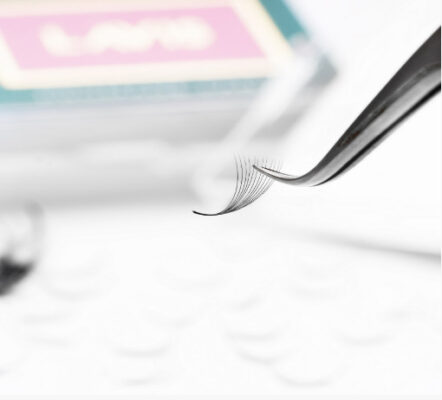 LavisLash Promade Fans for Mega Volume super affordable for beginner prices