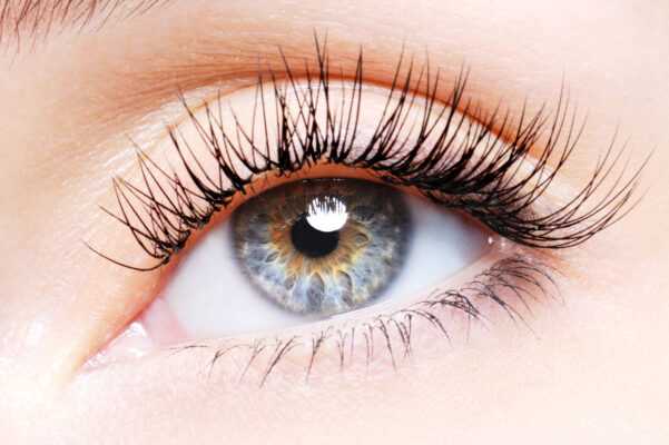a nice lash application by choosing the right kind of eyelash glue